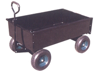 TC3002