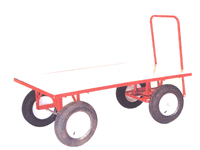 TC3006