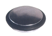 T010